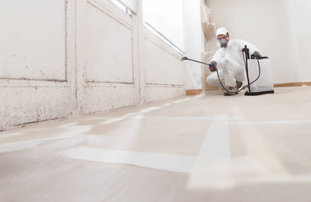 24/7 Emergency Mold Remediation experts in Laurel, FL