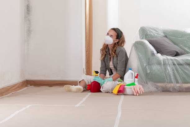 Reliable Mold Remediation contractor in Laurel, FL by 24 Hour Mold Removal